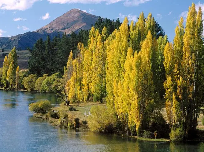 高精度独特智慧工厂